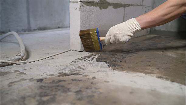 SJ Waterproofing Pros Waterproofing coverage map for Carle Place, NY and surrounding area